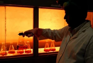 Mixing the Right Batch – The Importance of Rubber Chemists